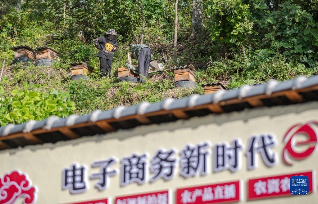 大奖网官方网站