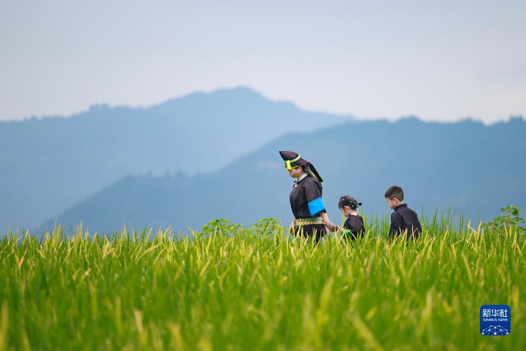 永利真人注册